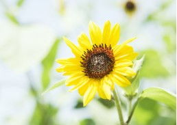 只有品质才能 留得住 人气 文艺创作如何强起来